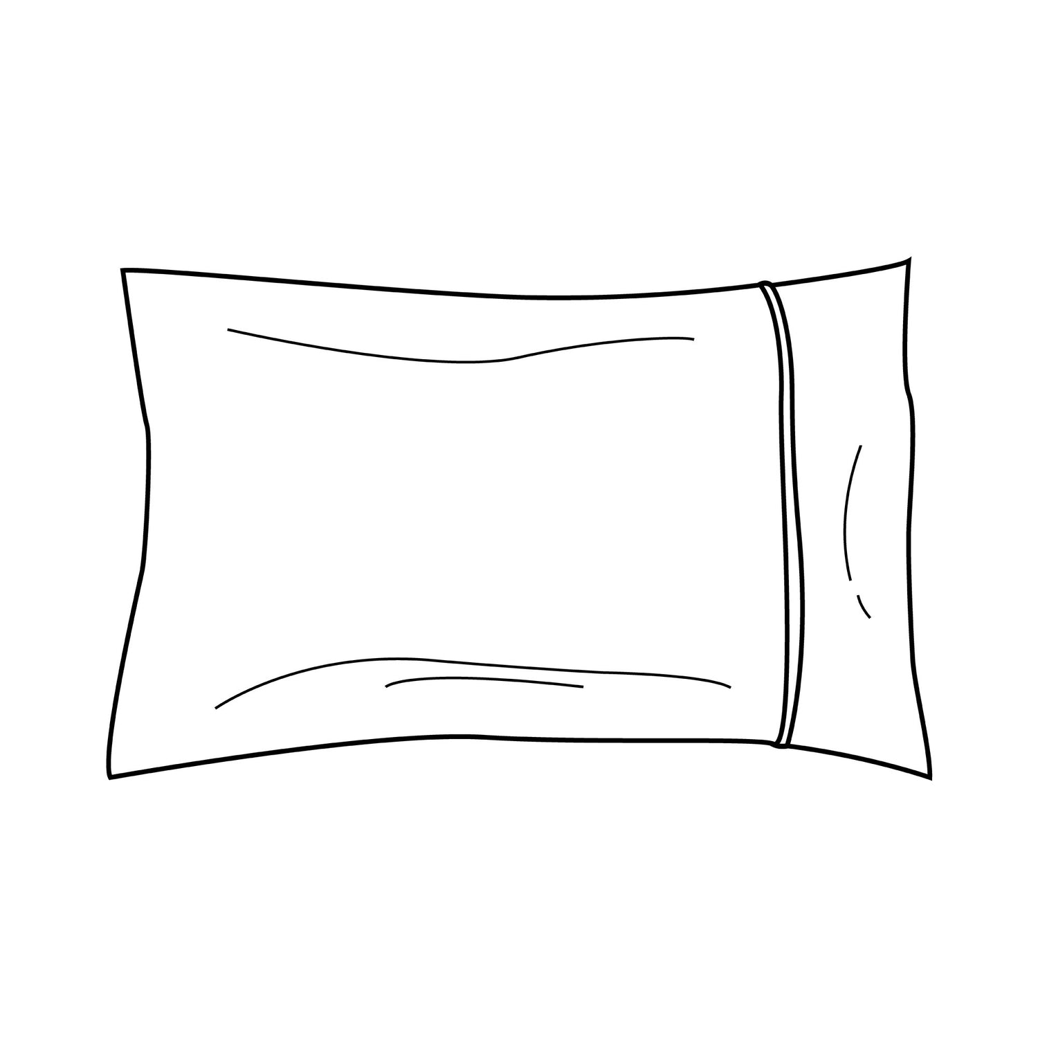 Toddler Pillows & Cases